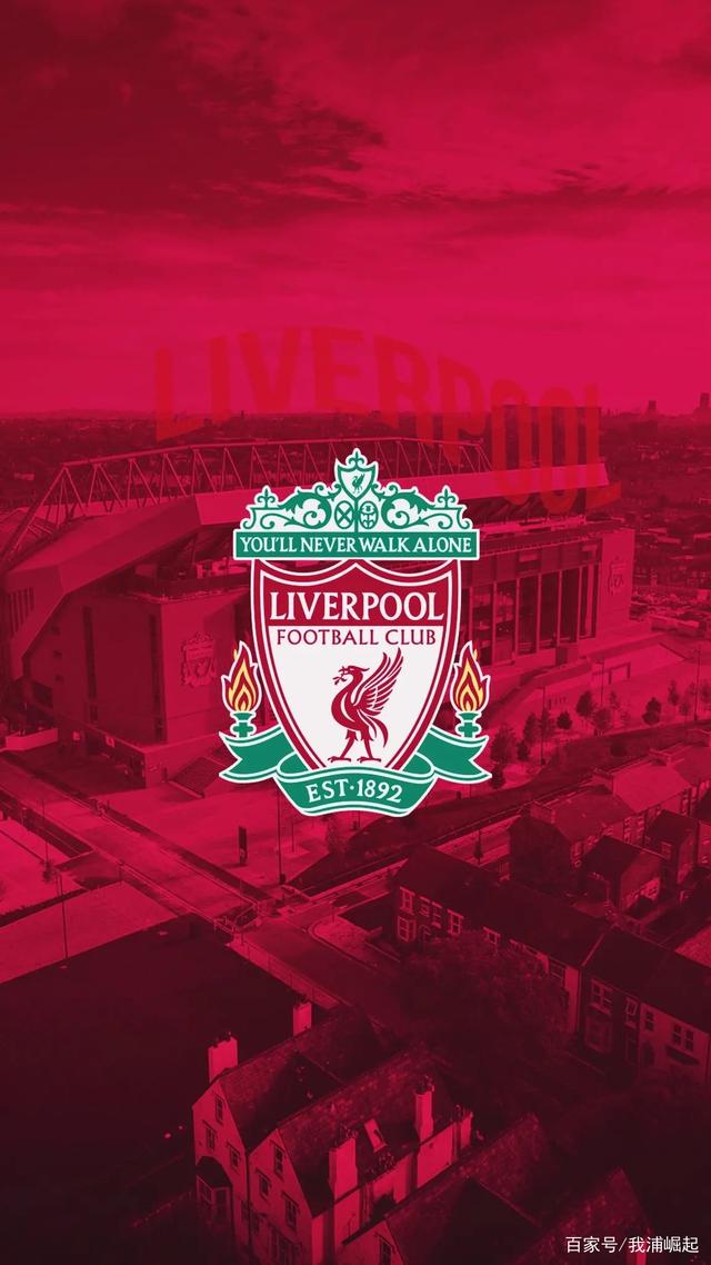 羽毛球：王祉怡制胜分 瑞昌首夺羽超冠军